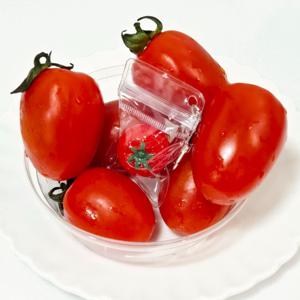 포켓 과일 키링 여름과일 키링 여름선물 과일키링 수박키링 체리키링 토마토키링