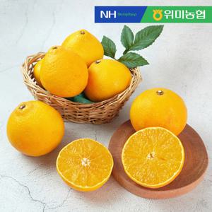 위미농협 제주직송 황금향 선물세트 3kg (9-15과)