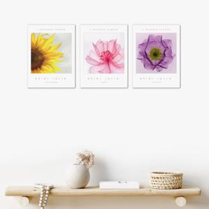 2220하이디 쥴리아-해바라기포피-3개세트 /캔버스천 폼보드액자 우드노프레임 풍수그림액자