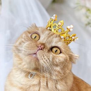 트윙클 왕관 강아지 고양이 골드 실버 왕관 모자