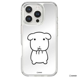 가나디 아이폰 12 프로 맥스  퓨어쉴드 맥세이프 디자인 미러 투명 범퍼 미니 케이스