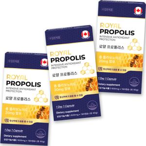 로얄 프로폴리스 500mg*180정 3팩