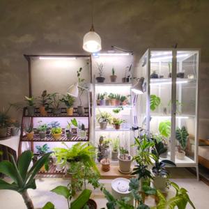 [식집사 지원쿠폰 10%] 식물등 식물LED  10W 밝기 조절 성장 생장 식물조명