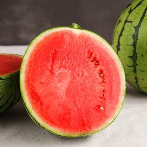 [오늘신선] 충남 논산 꿀단지 수박 4~5Kg 고당도(11 Brix 이상)