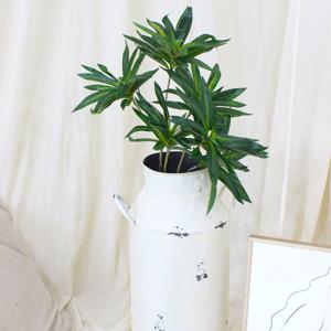 산데리아나 조화 부쉬