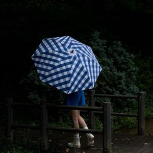 장우산 스트라이프 체커보드 블루