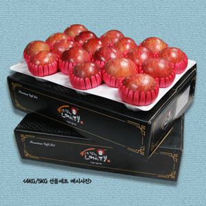사과 선물세트 4kg 중소과 17-19과내