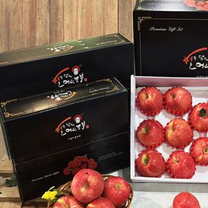 사과 선물세트 2.5kg 대과 7과내