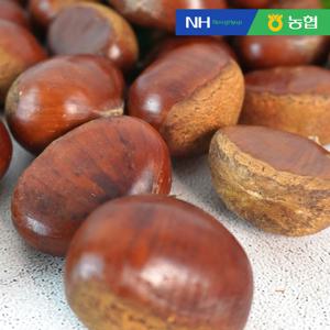 순창 햇 알밤 특 1kg