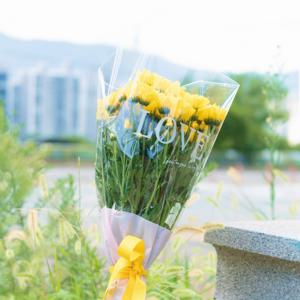 국화 생화 투명포장 꽃다발 소국 대국 색상선택