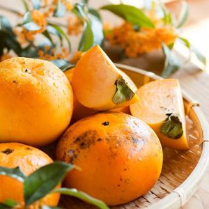 국내산 당도보장 맛있는 제철 단감 서촌단감 태추단감