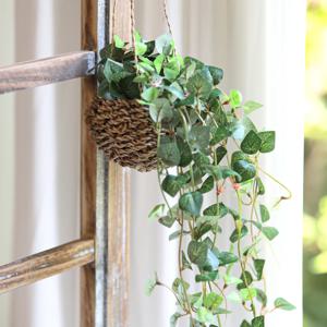 그리너리 인테리어 행잉 플랜트 아이비 조화 식물 바구니 세트