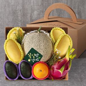 종합 과일선물세트(메론(국산),용과(베트남),오렌지(미국),망고(필리핀) 외)
