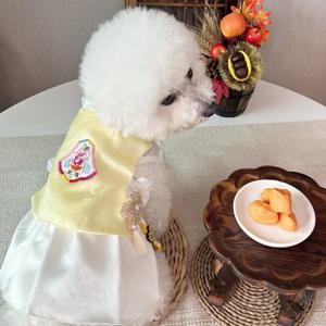 강아지한복 저고리 케이프 설빔 추석 명절옷 핑크 치마 세트 S