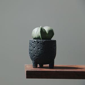 청난봉옥 달나라화분 세트 미니다육식물 데크테리어 개업화분