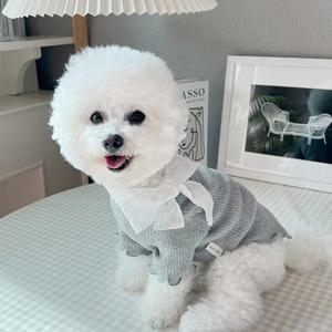 강아지티셔츠 레이스 스카프 긴소매 봄 가을옷 데일리 이너티 S