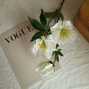 화이트 퓨어 헬레보루스 로즈 장미 조화 홈데코 촬영소품