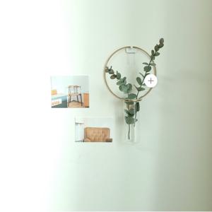 [식집사 지원쿠폰 5%] 골드 라인 벽걸이 화병 인테리어 소품 식물 수경재배 화병