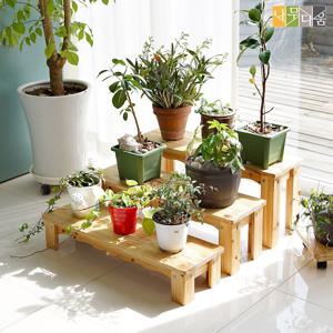 프리머엄 원목 DIY 화분받침대 소형 화분 진열 다육이 베란다 식물 정리