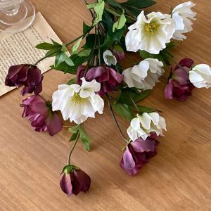 더블 헬레보루스 조화 3colors