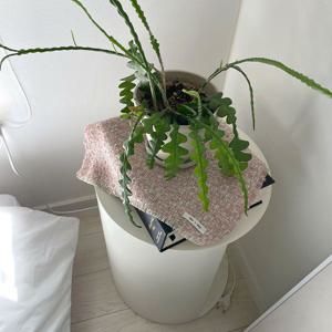 Weaving Ovjet mat / Soft pink 오브제 매트