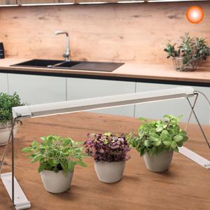 레드밴스 LED 식물램프 가든 스탠드 홈가드닝 조명 반려식물 성장 생장 식물등