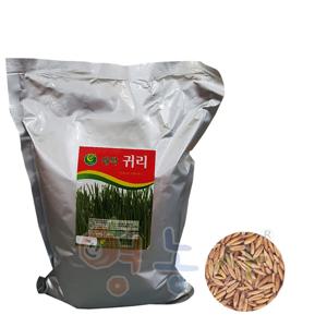 새싹 귀리씨앗 1kg 씨앗 귀리싹 캣그라스