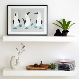 Three Friends 푸른발 부비새 갈라파고스 새 동물 인테리어 그림 포스터