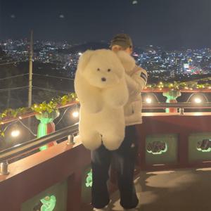 자체제작 죽부망망 비숑 멍뭉 강아지 귀여운 쿠션 애착 바디필로우