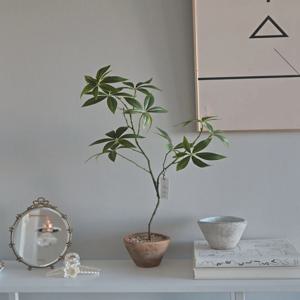 파키라 화분 조화 그린잎 플랜테리어