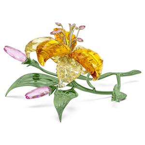 Florere 릴리, 라지