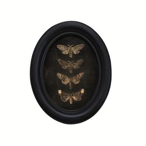 TEMU 1개 빈티지 고딕 4줄로 나란히 있는 문구 사진액자 - 다크톤의 타원형 벽장식, 인조목재 제작으로 홈오피스와 할로윈 데코에 적합. 쉬운 설치를 위한 사전드릴된 홀, 전기 불필요. 우아한 디자인 거실·침실·서재용, 정교한 세부처리 수공예감성, 스타일리시한 선택지, 크리스마스 장식