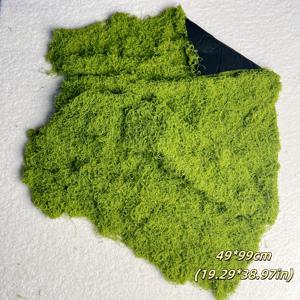 TEMU 19.69x39.37인치 인공 이끼 커버 카펫, 숲 풍경, 시뮬레이티드 그린 플랜트, 인조 잔디, 창가 차광용, 벽 장식, 홈 데코, 전시장 배치, 이벤트 및 파티용, 식물 조경, 경관 미화
