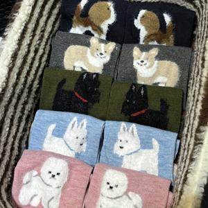 TEMU 여성용 퍼지 강아지 양말 5켤레 - 코기, 시바견, 사모예드 & 말티즈 견종이 있는 부드럽고 따뜻한 겨울용 타이츠 - 다색상 귀여운 발목 양말, 추운 날씨, 캐주얼 & 야외용 (세탁기 사용 가능)