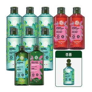 롯데단독 이브로쉐 두피 워터 리프레셔 모링가 400ml 6통+라즈베리 400ml 2통+샴푸 300ml 2종(알개/라즈베리)