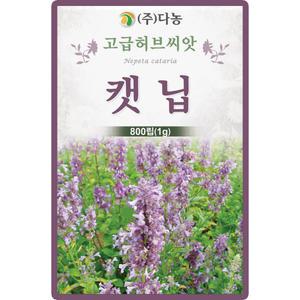 다농 캣닙 씨앗 800립 캐트민트 캐트닙 꽃씨 허브 종자