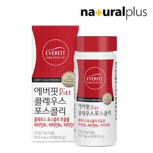 [소비기한 : 26.02.04]에버핏 콜레우스포스콜리 60정 1병