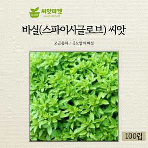 KS종묘 바실 허브 씨앗 100립 스파이시글로브 일년생 바질씨 종자