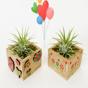 이오난사 틸란드시아 만들기 키트 나무 화분 꾸미기 DIY diy