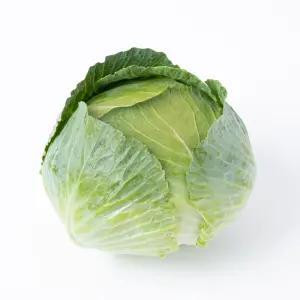 초록초록팜 무농약 친환경 양배추 5kg 3-5통 건강식 제철 채소 야채 슈퍼푸드 PS