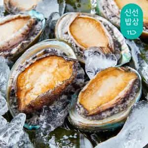 [최종혜택가19,920원]더신선 완도 최상급 활 참전복(특대)1kg 10-11미