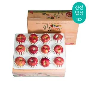 청송사과 정품 2.5kg 11-14/소과/팬캡포장 /홍로 햇사과