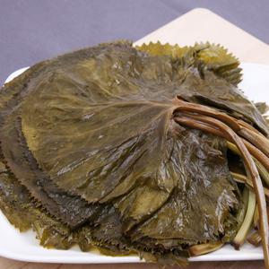 강원도 홍천 곰취나물 절임 장아찌/반찬용/1kg