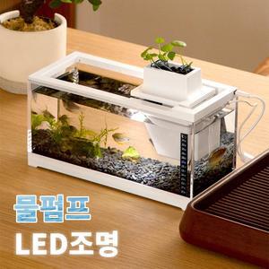 EVOKME 생태 어항 물고기어항 어항세트 열대어 물고기키우기 자동청소 펌프