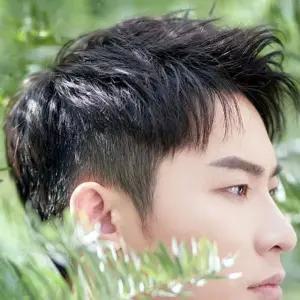 인모 투블럭 댄디컷 남자 가발 통가발 데일리 (WFJ8LFD)
