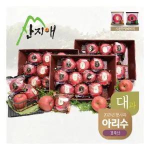 햇사과 아리수 2.7kg