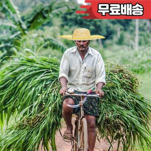 1개 밀짚 모자 여성용 우아한 넓은 챙 비치 가드닝  45CM 지름 랜덤 로프 색상 농부