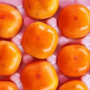 산지직송 청도반시 5KG (46-50과)