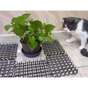 [콩심팥심]침입방지 야생동물 퇴치망 12p 비둘기퇴치 스파이크