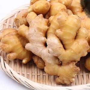 세척수입생강 10kg 신선농장
